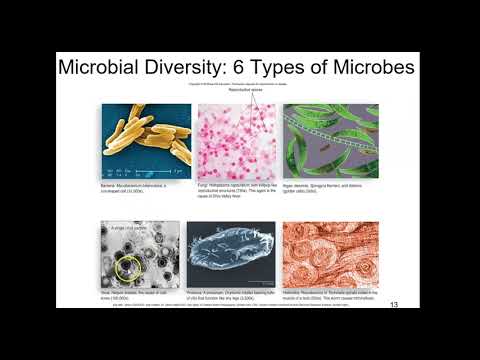 BIO 235 Chapter 1 Talaro