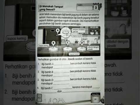 Video: 9 Tumbuhan Perubatan Tumbuh Di Rumah Pada Musim Sejuk Penerangan. Penjagaan Bilik. Foto - Muka Surat 2 Dari 9