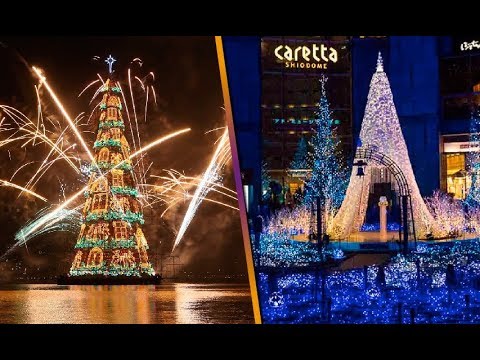 Video: Los árboles de Navidad más bellos y caros del mundo