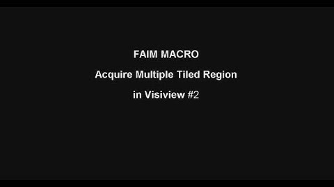 FAIM multiple tiled region acquisitions in VisiView #2