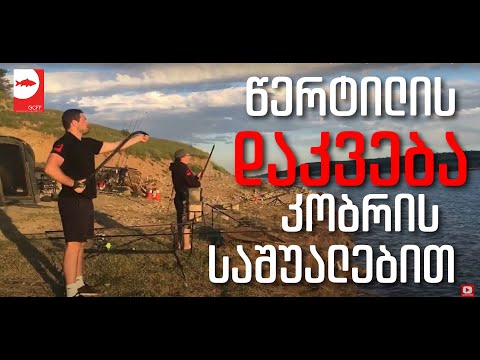 Carp bait delivery using Throwing Stick - Tbilisi Sea, Georgia // კობრით დაკვება - თბილისის ზღვა