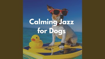 Excellent Moods for Slumbering Pups