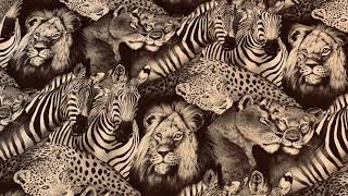 The Jungle by Rita Nau   SD 480p