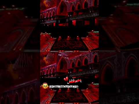 يا ابو فاضل هواي هنه وكلهن تكدرلهن