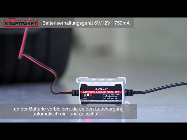 Dino KRAFTPAKET Batterieerhaltungsgerät 6V/12V-750mA KFZ