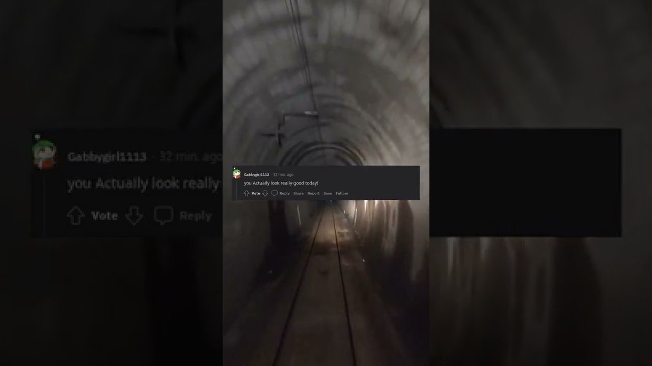 What are some creative insults?(r/AskReddit)