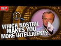 QI | Which Nostril Makes You More Intelligent?