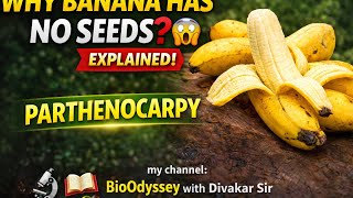 Parthenocarpy Explained 🍌 | Class 12  Ncert Biology | NEET Important Topic🔬#science 