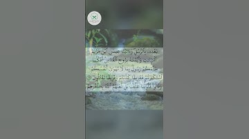 سورة البقرة  الشيخ محمد الفقيه  #duet #تيك_توك #forupage #quran #اكسبلور #love #دويتو #peace