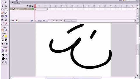 Flash Basic Video Tutorial