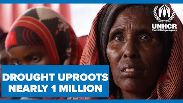 Worst drought in Somalia uproots nearly 1 million from home