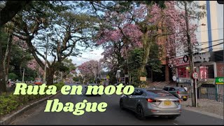 Un Recorrido Sorprendente Por Ibagué Tolima