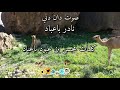 صوت دان دني نادر باعباد _ كلمات محسن بن عبود باعبادلا_تنسونا_من_اللايكات mp3