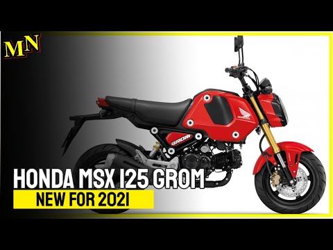 New Honda MSX 125 Grom for 2021 | MOTORCYCLES.NEWS