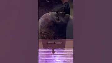 Body Of Firoun Egypt Part 2 