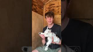 Bertie’s rocky birth