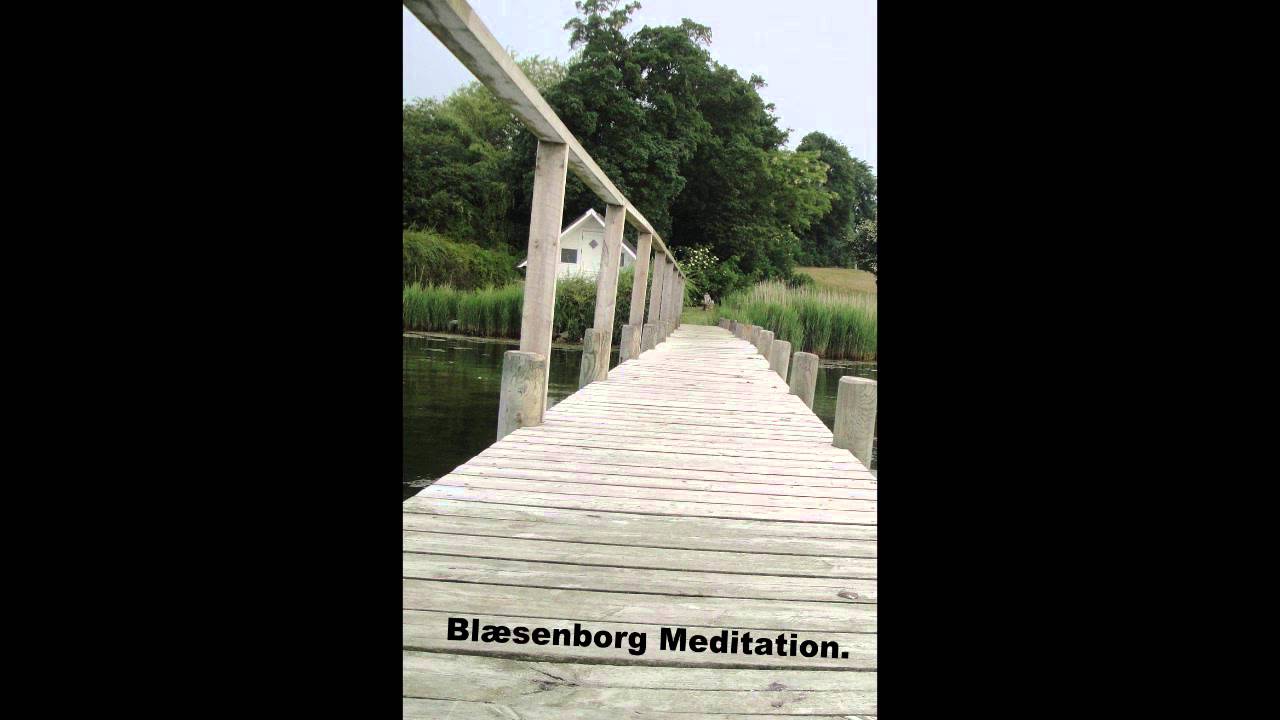Blaesenborg Lyd-meditation: en tur i skoven