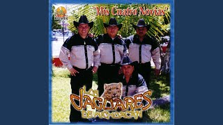 Video thumbnail of "Los Jaguares de Michoacán - El Toro Grande"