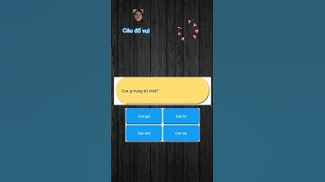 Những Câu Đố Vui - Hack Não (p16) #dovuitv #shorts