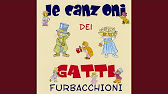 Come si chiama il luogo dove i Buffycats vivono e suonano?