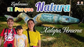 Parque Natura de Xalapa reabre sus puertas - YouTube
