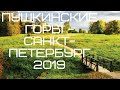 Пушкинские горы - Санкт-Петербург 2019 за 9 минут ( Псковская и Ленинградская область за пару минут)