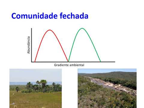 Vídeo: O que é um exemplo de ecologia comunitária?