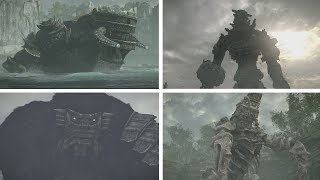 Shadow of the Colossus (PS4) - All Boss Fights / Bosses - Hard Time Attack