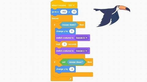 Scratch Programming Flappy Toucan Game Program the Flight