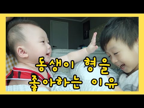 [육가 브이로그] 형이 동생한테 숨바꼭질 ~ 까꿍~  너무 귀엽네요 😍