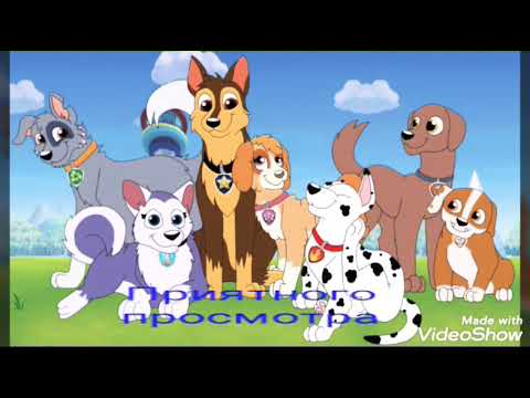 camera iphone 8 plus apk 🐕Как пожелаете 🐕 песня молния💝💝💝