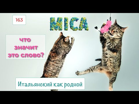 Значения наречия MICA в итальянском языке и сюрприз в конце видео – 163