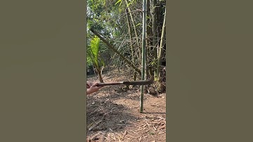 Tôi làm con dao quắm phát rẫy bằng thép mảnh bom chặt cây tre như chặt chuối vậy