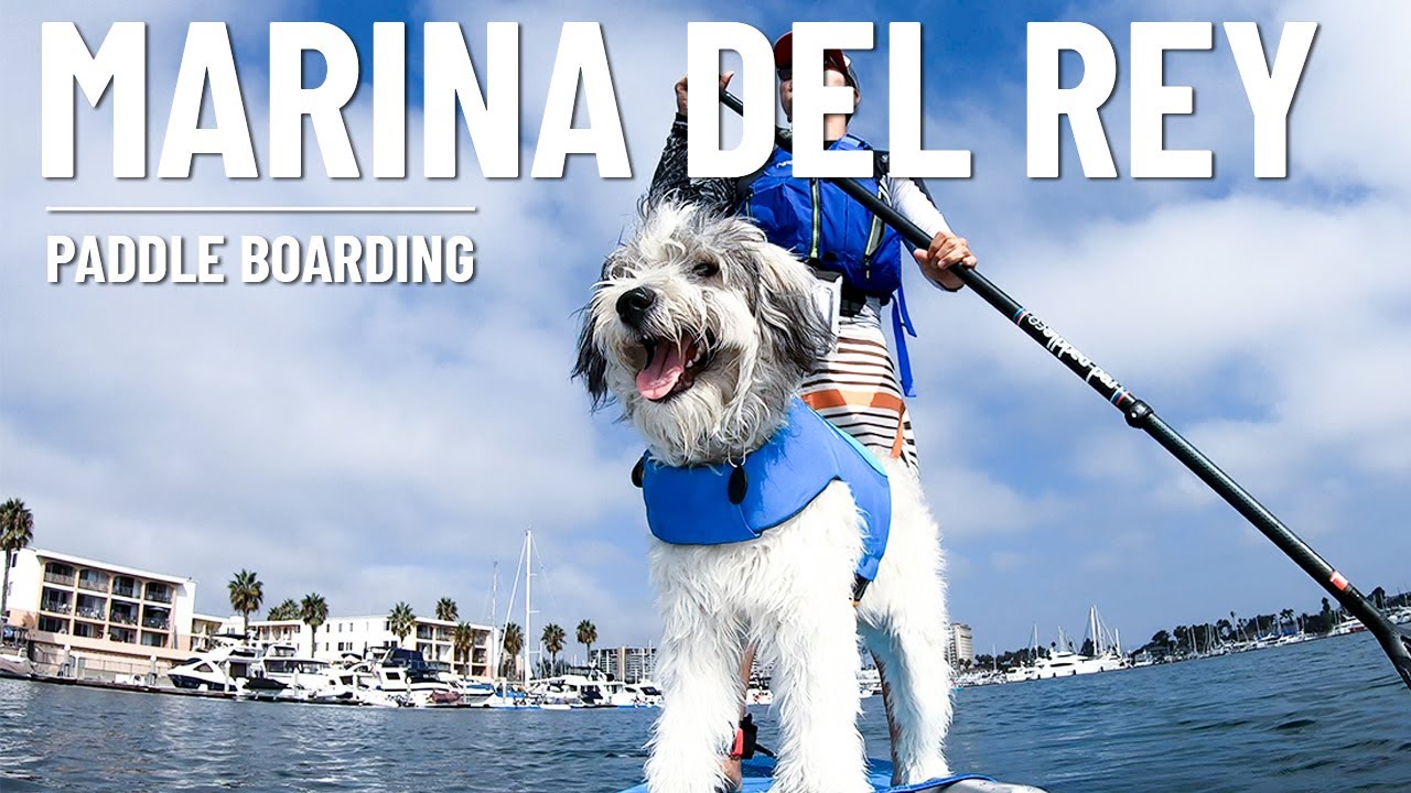 Marina Del Rey The Best Paddle boarding Place for Beginners in LA, California YouTube