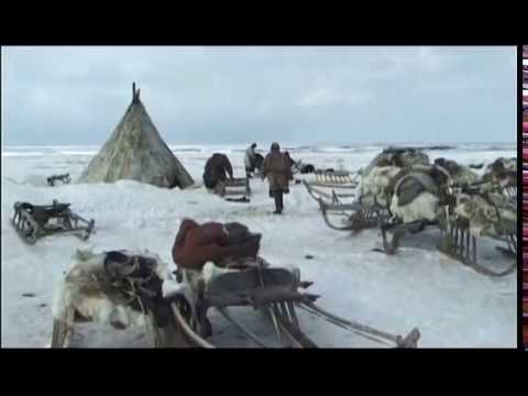 Видео: Как живеят хората в Арктика