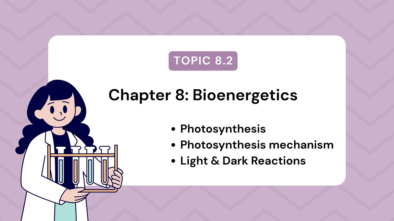 Topic 8.2 | Photosynthesis | Chapter 8 | Bioenergetics