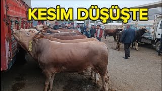 30 Ni̇san Sali Kirikkale Hayvan Pazari Güncel Fi̇yatlarli̇vestock Bazaar