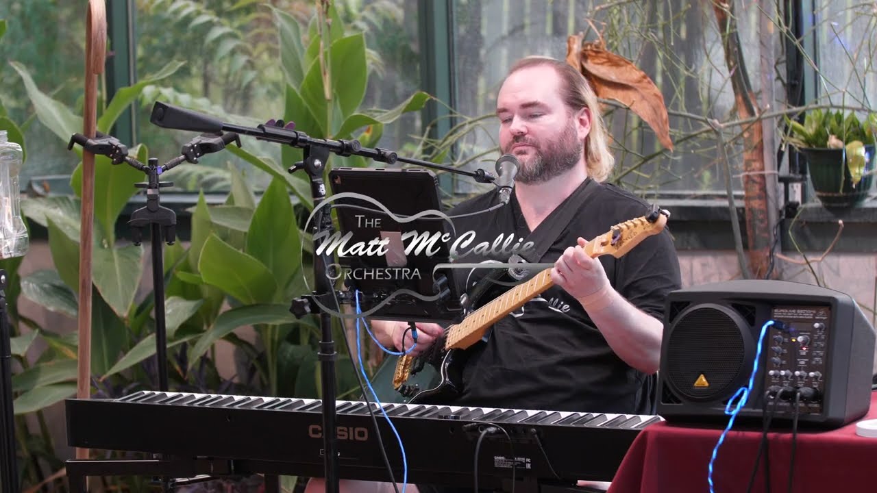 Dust in the Wind | St Louis Singing Guitarist | Matt McCallie