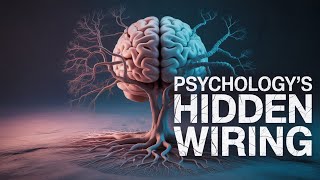The Shocking Truth About Your Nervous System That Changes Everything