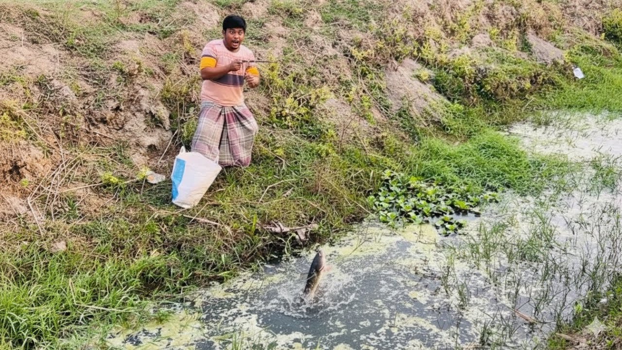 fishing in bangladesh village 🎣🐟Look at this amazing fish hunter🎣🐋