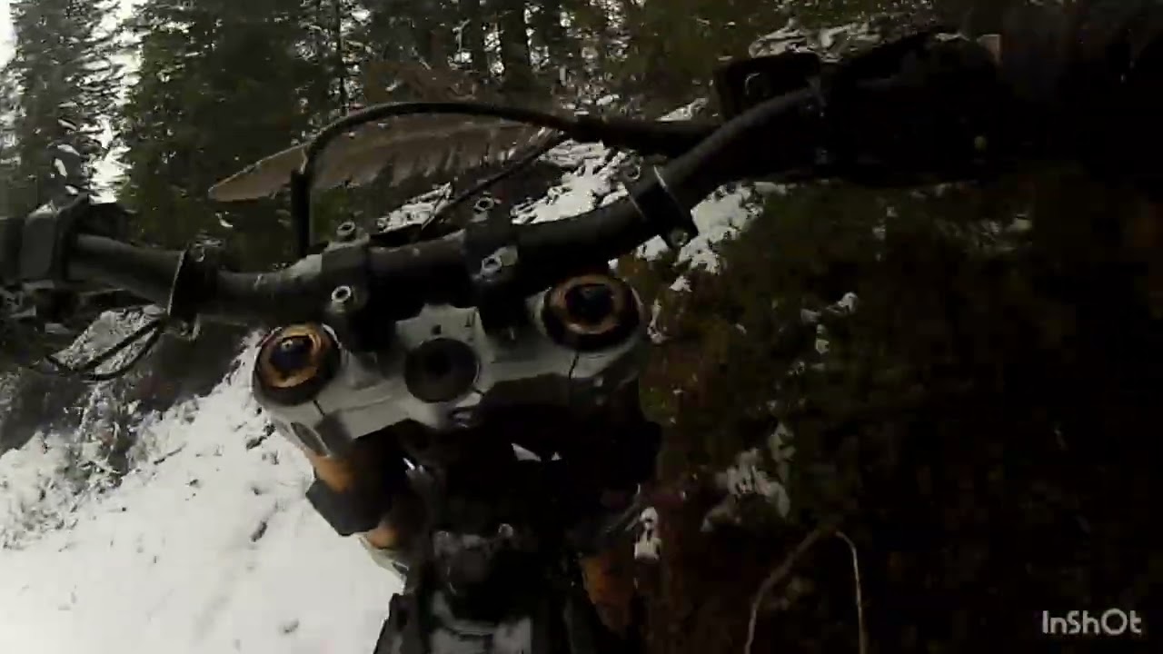 Talaria Komodo dogs & Trails