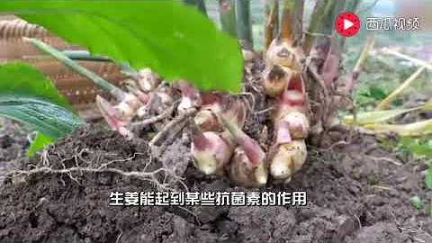 監理工程師資格證，監理工程師,監理工程師英文,註冊監理工程師掛靠,造價工程師,購買,銷售,買賣,辦理,代辦,出售， - 天天要聞