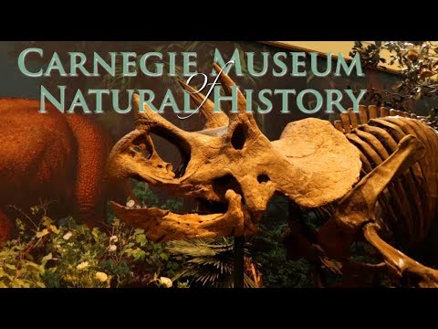 Video: Carnegie Museums of Art & Histori Natyrore
