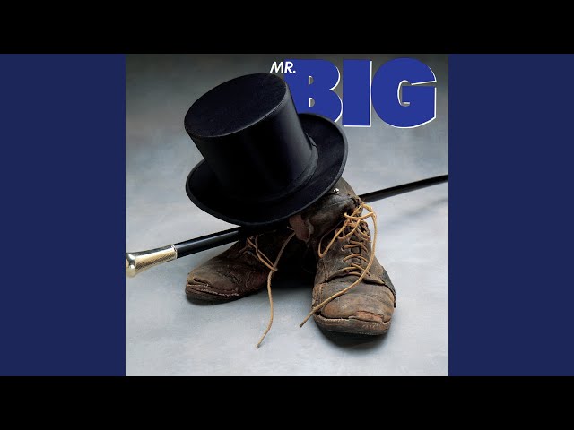 Mr. Big - Had Enough 1989