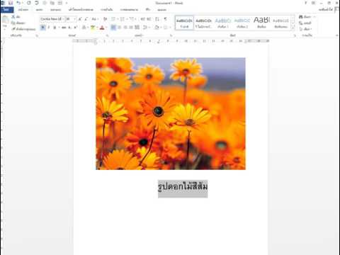 แปลงไฟล์ Word เป็นภาพ jpeg ง่ายๆ