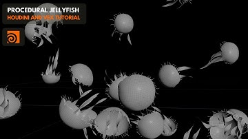 Jellyfish Procedural Animation with Houdini and Vex | Patreon July Trailer