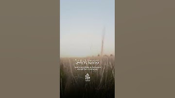 وما خلقنا السموات والأرض وما بينهما إلا بالحق، وإن الساعة لءاتية فاصفح الصفح الجميل( سورة الحجر ٨٥ )