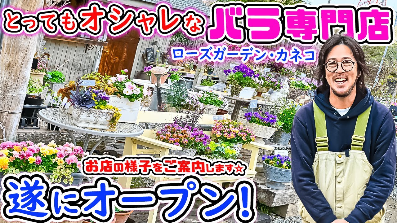 🌹いよいよオープン♪とってもオシャレで大人気な♪バラ専門店をご紹介🌹【ローズガーデン・カネコさん】