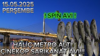 Hali̇çte Çi̇nekop Avi - Hali̇ç Sarikanat Avi - Galata Köprüsü Çi̇nekop Avi - Unkapani Köprüsü Çi̇nekop
