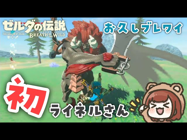 It's been a while since I last played Breath of the Wild